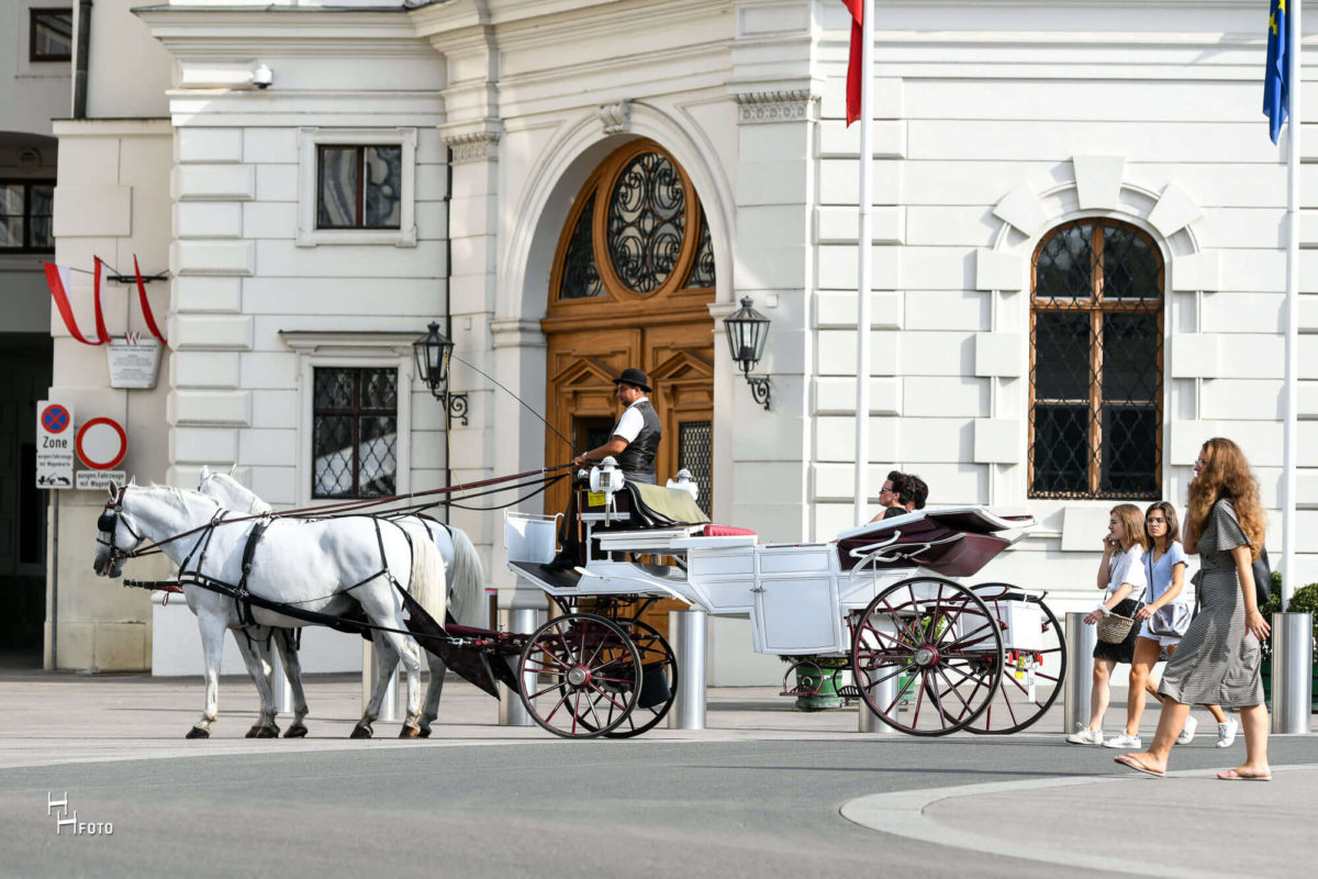 Gutschein Route 5: angegebenen Standplatz zum Riesenrad - ca. 35 Min. – Bild 3