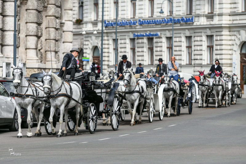 Route 5: angegebenen Standplatz zum Riesenrad - ca. 35 Min.