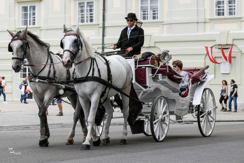 Route 1: Innenstadt - 40 Min.