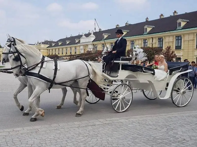 Schönbrunn Rundfahrt ca. 30 Min. – Bild 3