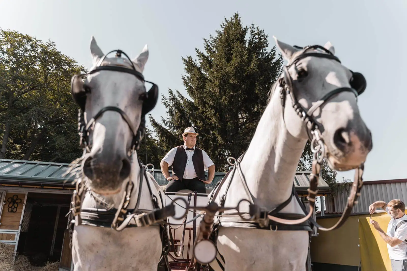 Geheimnisse der Fiaker mit Frühstück im Cafe Falcos - ca. 90 Min. (ohne Frühstückszeit) – Bild 3