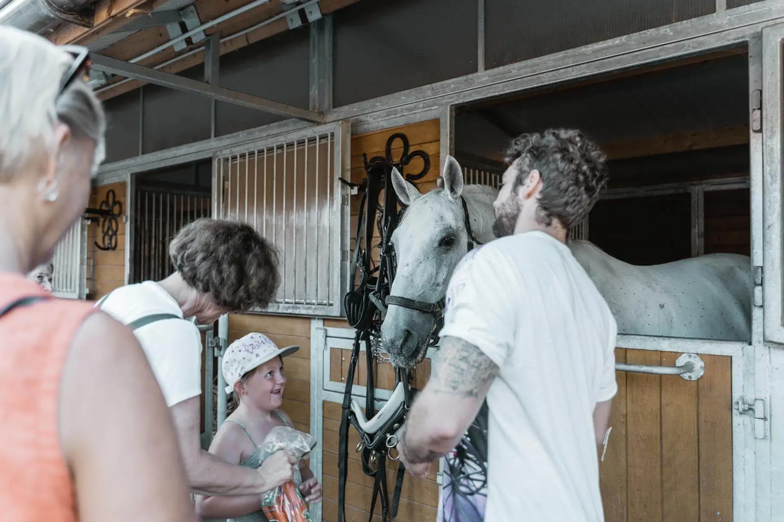 Geheimnisse der Fiaker mit Frühstück im Cafe Falcos - ca. 90 Min. (ohne Frühstückszeit) – Bild 2