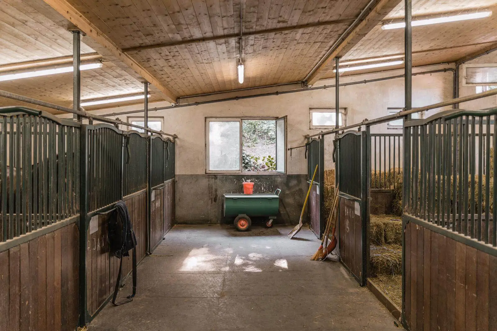 Geheimnisse der Fiaker mit Frühstück im Cafe Falcos - ca. 90 Min. (ohne Frühstückszeit) – Bild 4