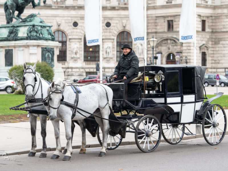 GUTSCHEIN Route 2: Innenstadt - 60 Min.