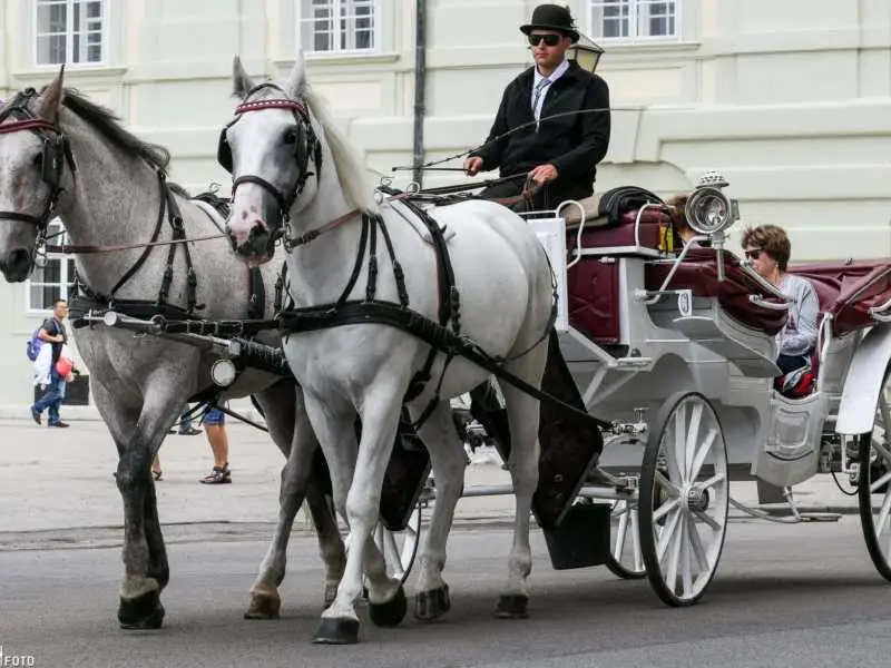 GUTSCHEIN Route 1: Innenstadt - 40 Min.