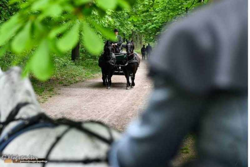 Route 7:  Innenstadt zum Lusthaus mit Aufenthalt und retour 3,5 Std.  - 210 Min.