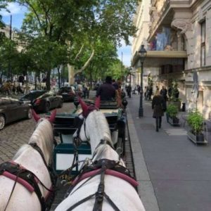 grand hotel in wien