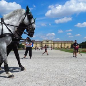 in schönbrunn mit fiaker-paul