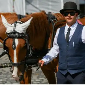 einer unserer tollen Kutscher