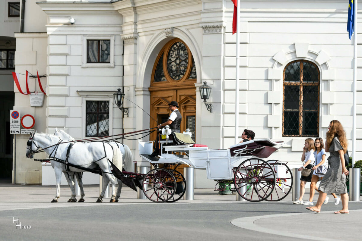 Route 1: Innenstadt - 40 Min. – Bild 3