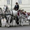Route 1: Innenstadt - 40 Min.